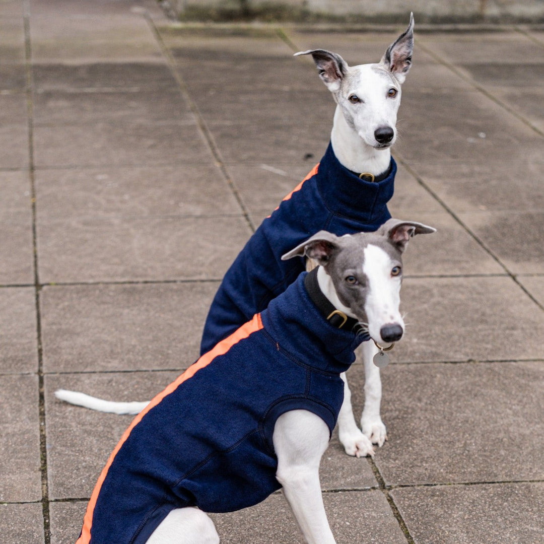 Whippet Trio Mix & Match Jumpers Save 30%