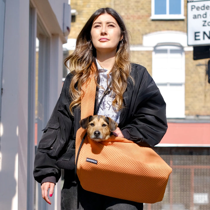 3dMesh Dog Carrier in Orange