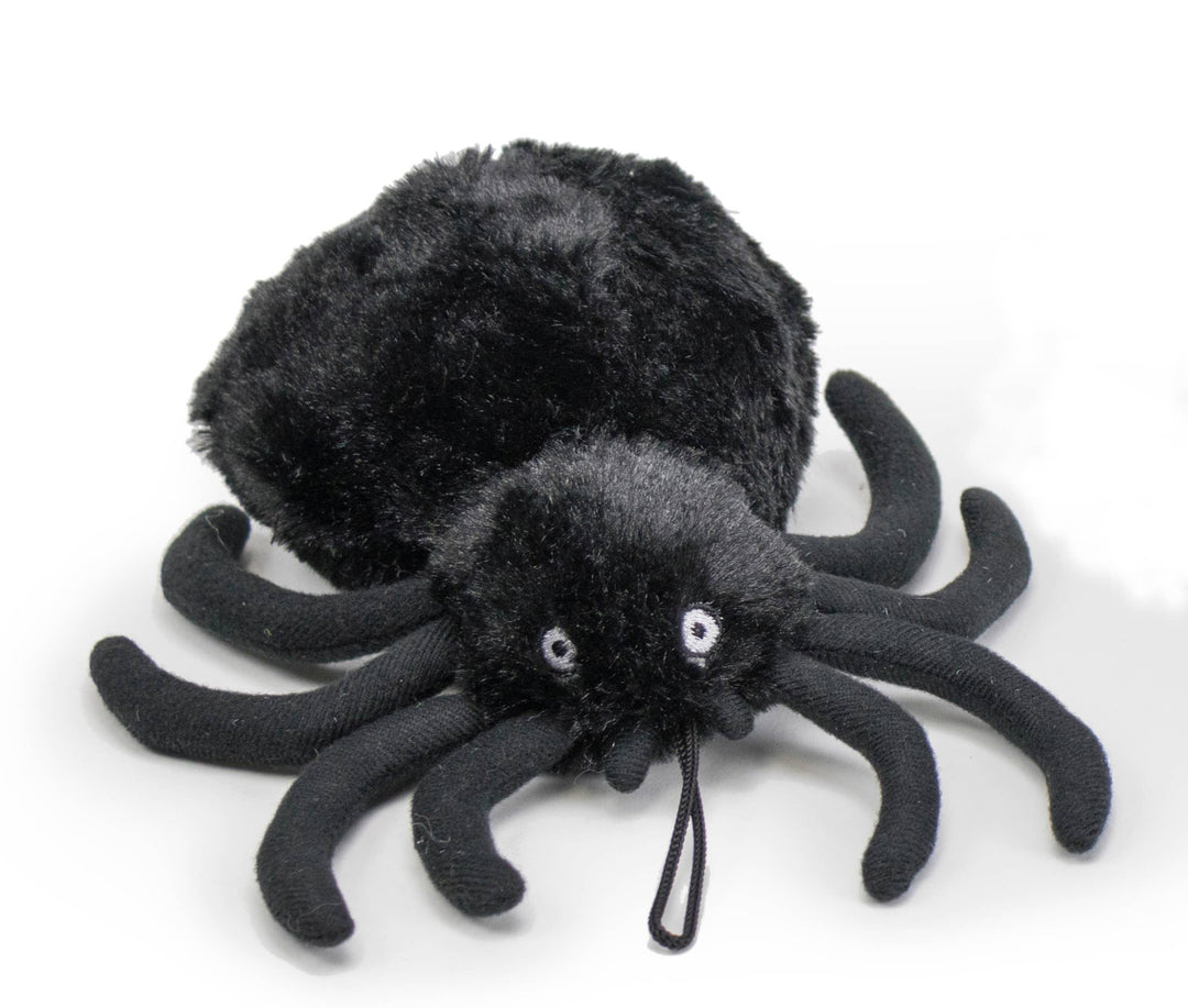 Halloween Creepy Black Spider by Steel Dog