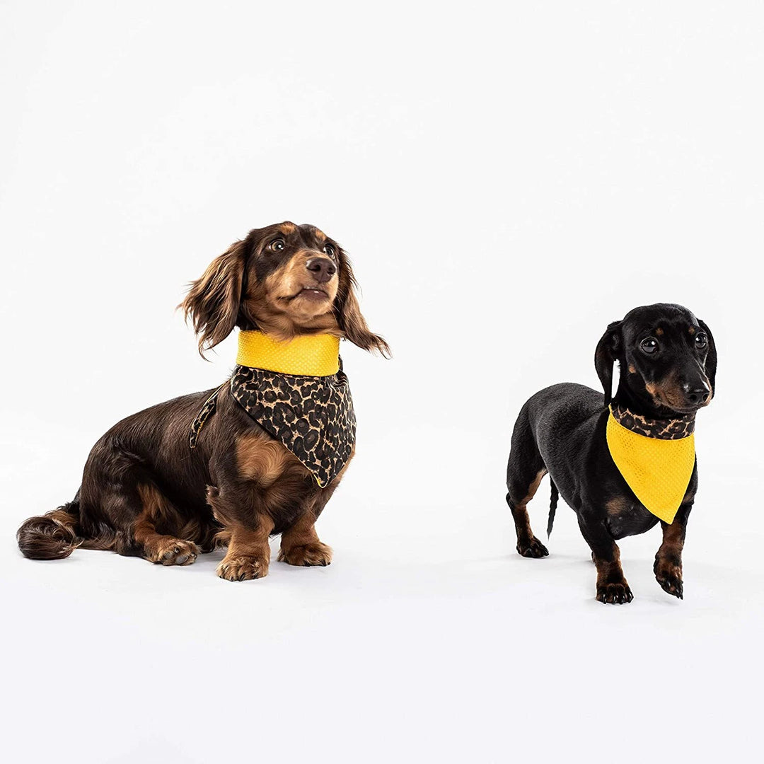 Cooling Dog Bandana - Dogsnug