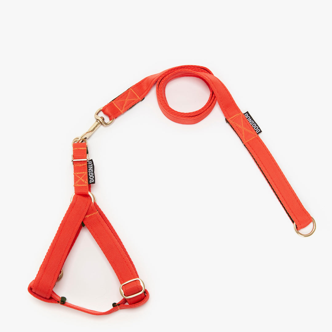 Adjustable Orange webbing step in style harness, with classic lead set