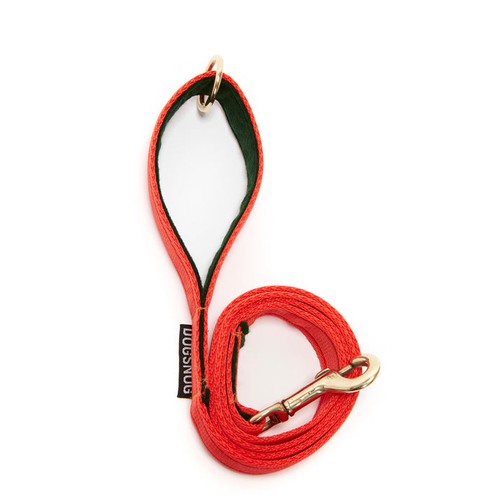 standard length calendula orange dog lead