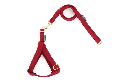 Step In Harness Webbing in Burgundy with Lead Set