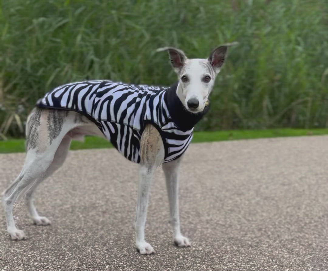 Fleece Dog Jumper Special Edition