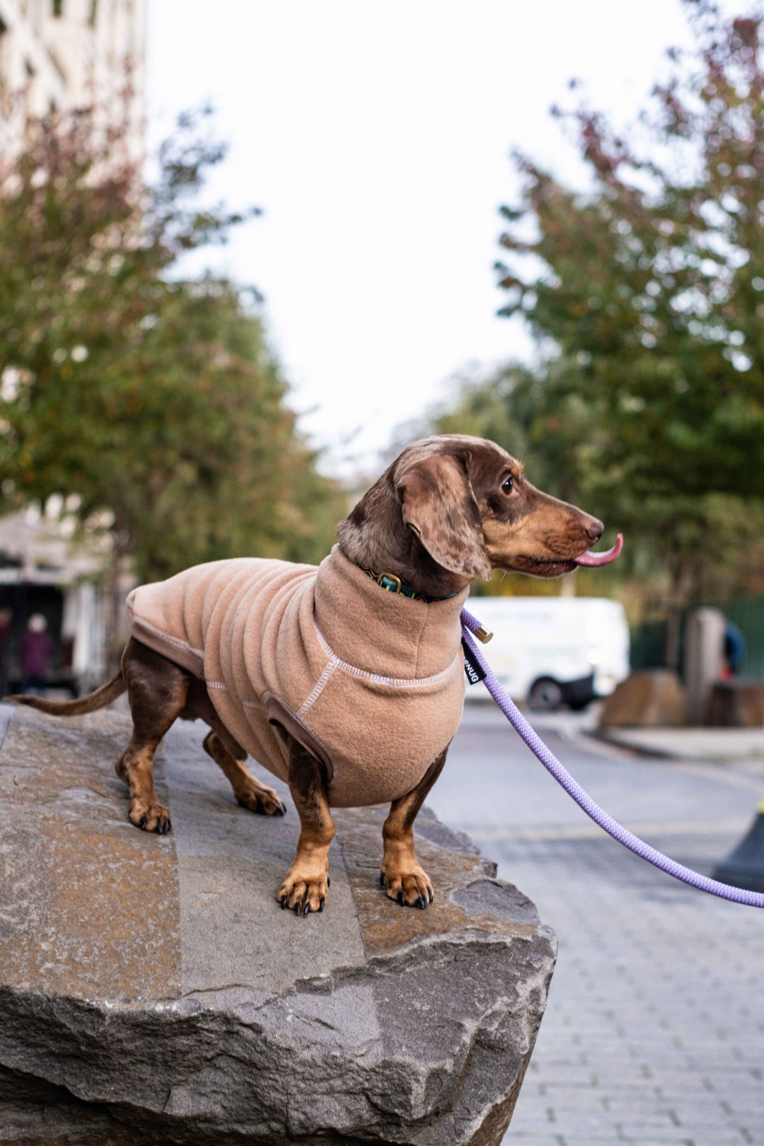 Fleece Dog Jumper AW 22/23 Colours
