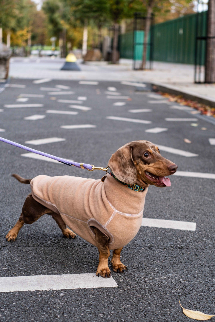 Fleece Dog Jumper AW 22/23 Colours