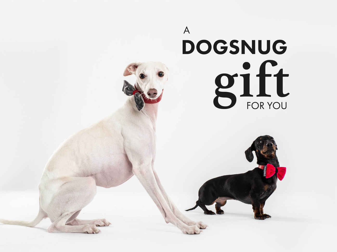 Dogsnug Online Gift Card