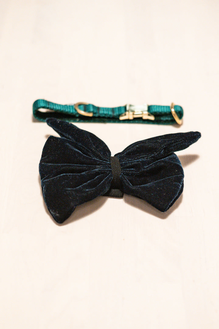 The Velvet Bow & Gold Clip Collar Set
