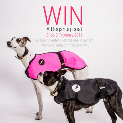 Celebrate our website launch with an Instagram Competition