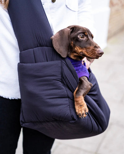 Dogsnug Puppy Carrier