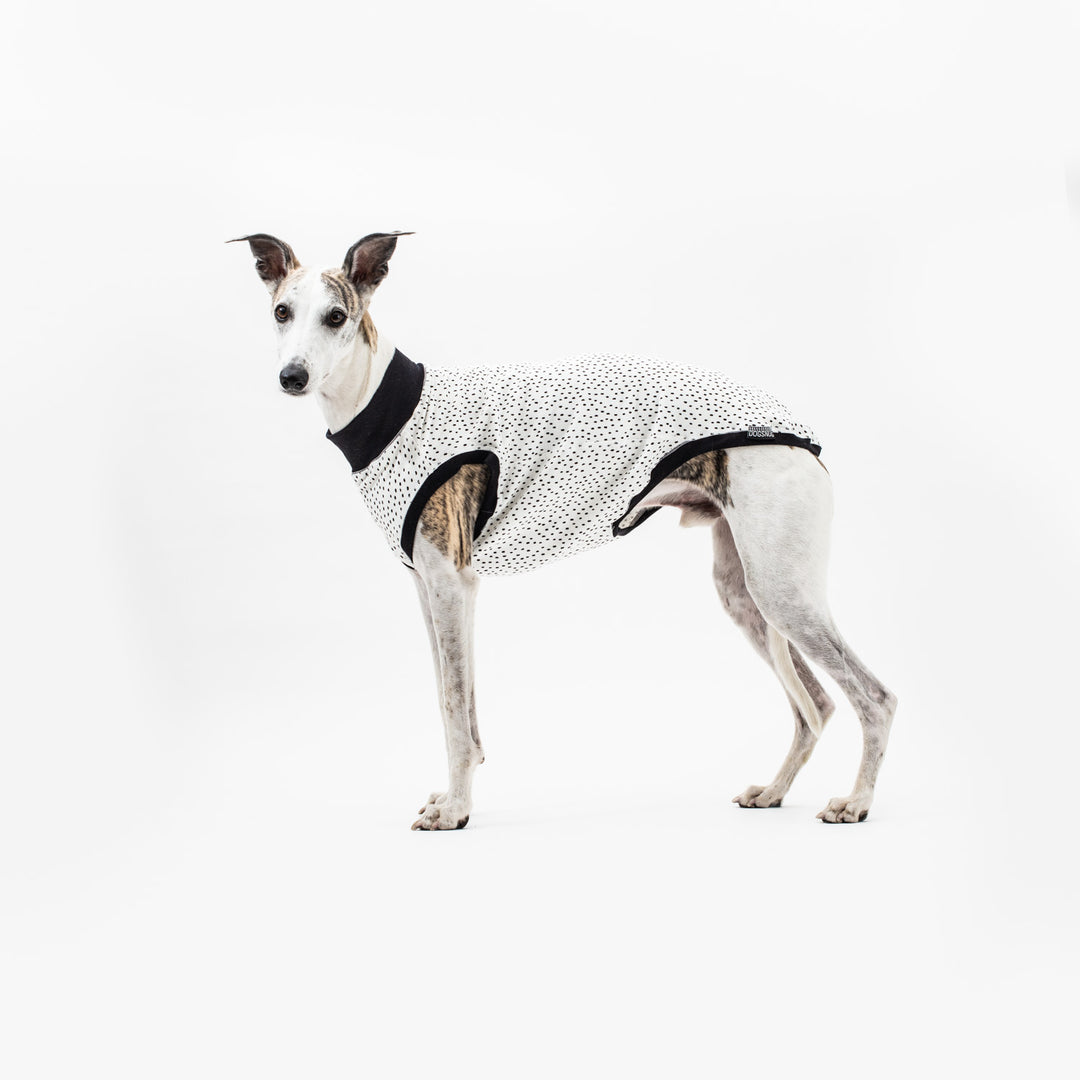 Dog T-Shirts