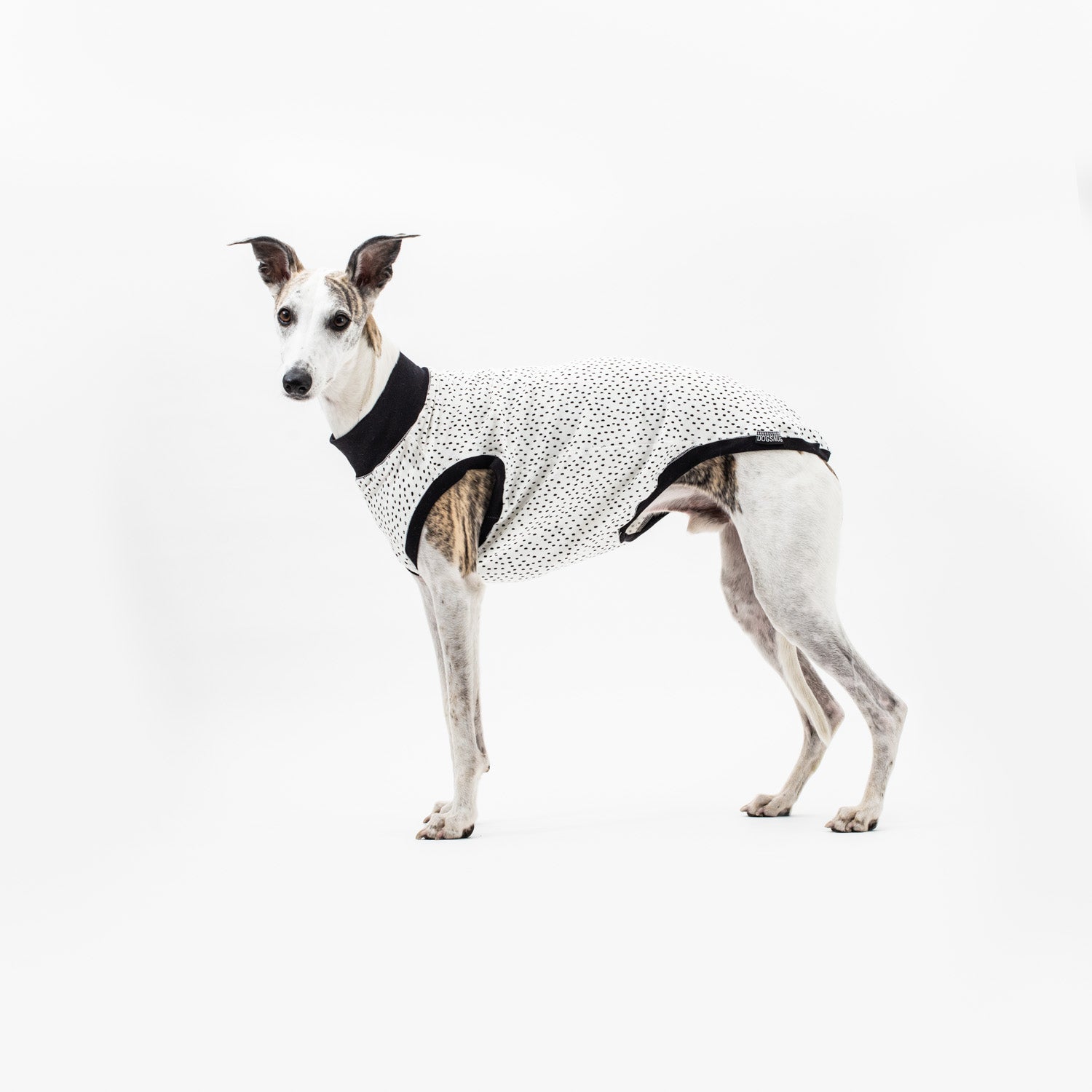 Dog T-Shirts