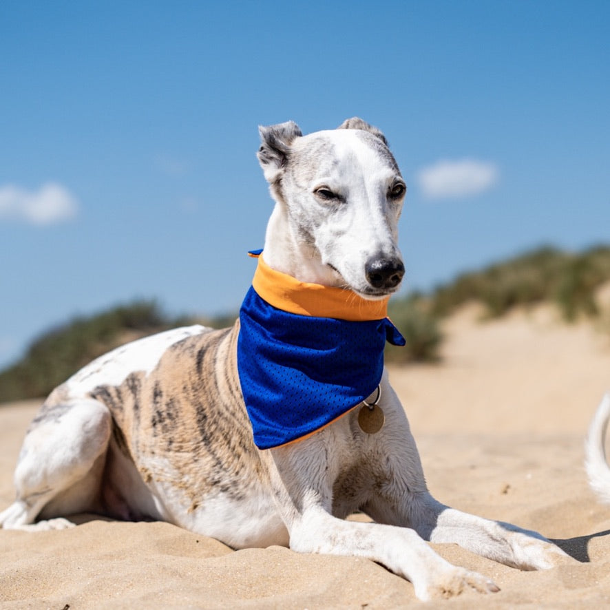 Cooling Dog Bandana - Dogsnug