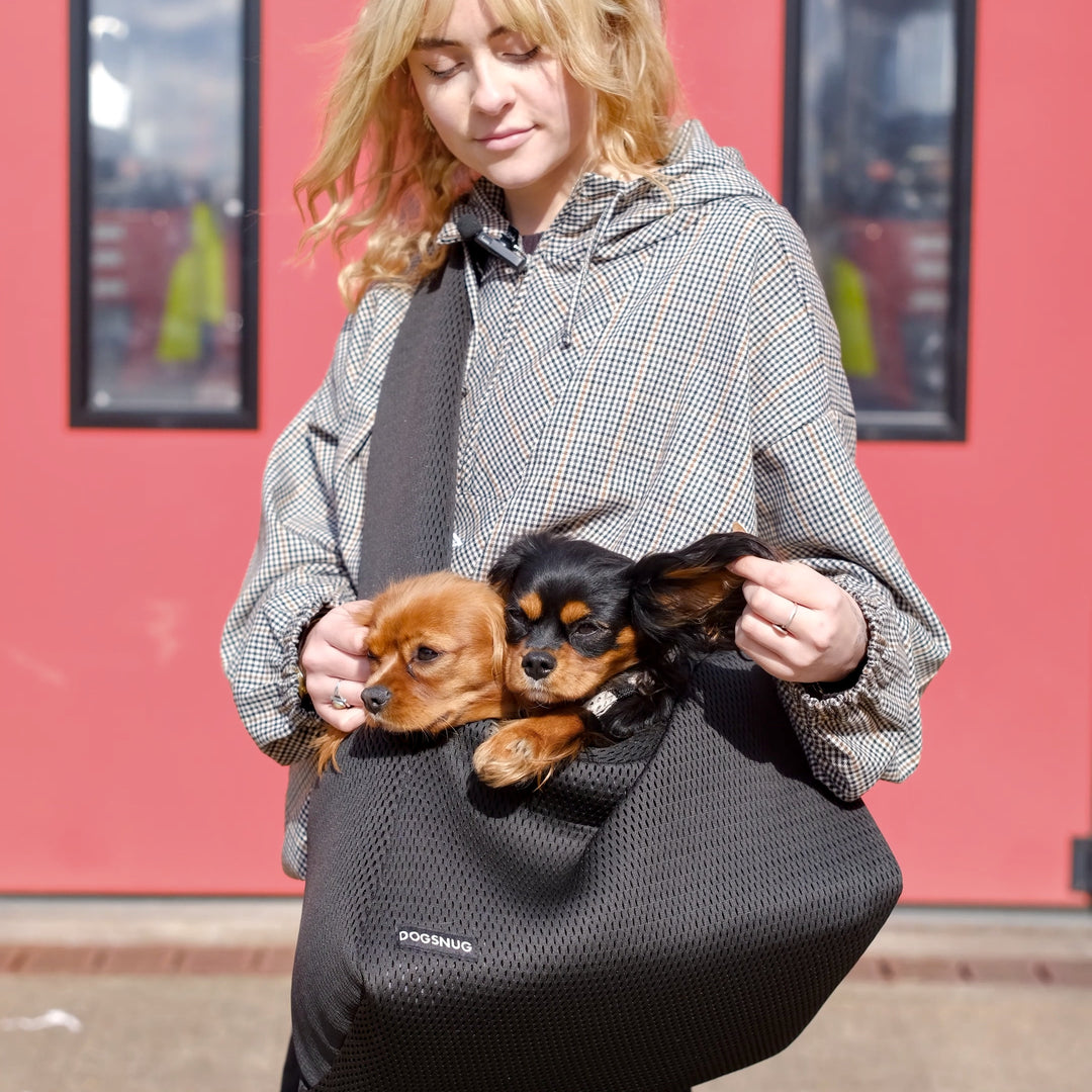 3dMesh Dog Carrier in Black