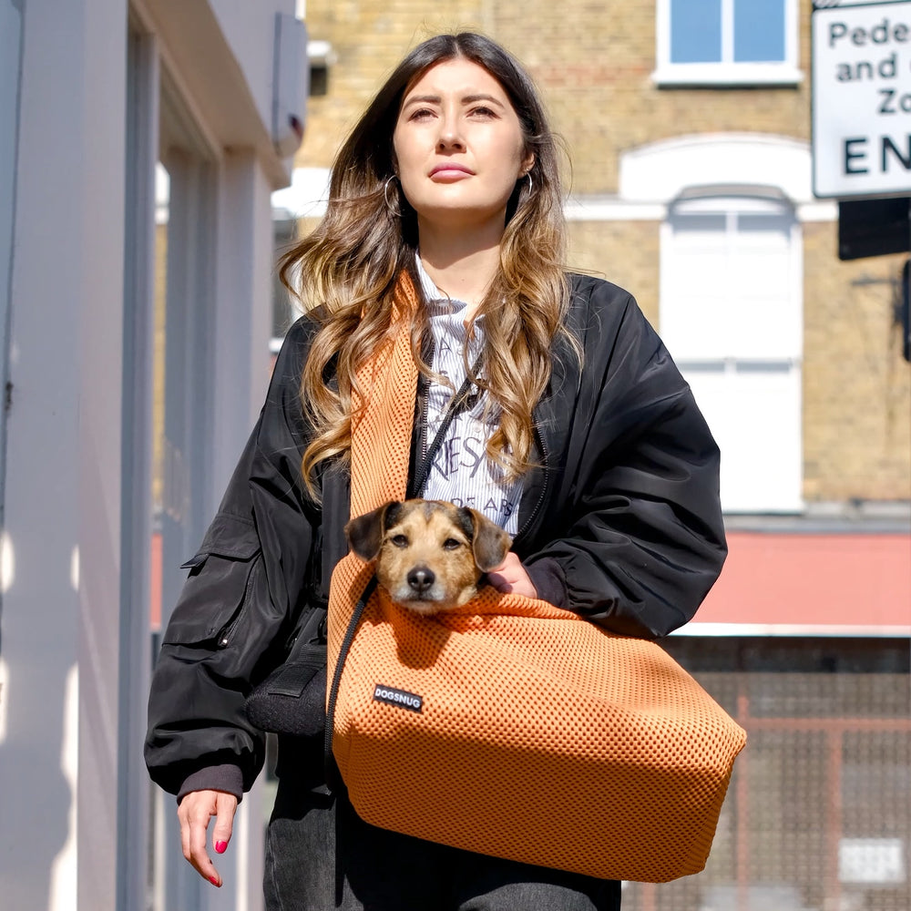 3dMesh Dog Carrier in Orange