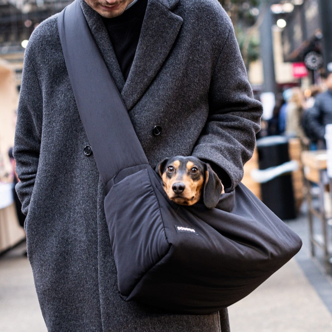 miniature dachshund carry bag