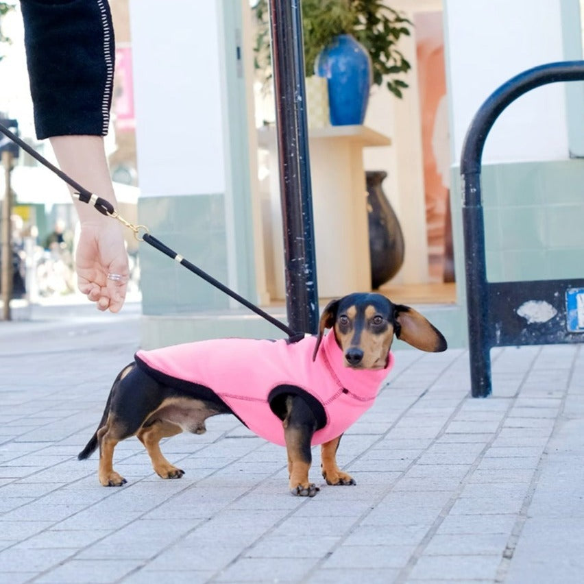 Dachshund Night & Rain Fleece Jumper