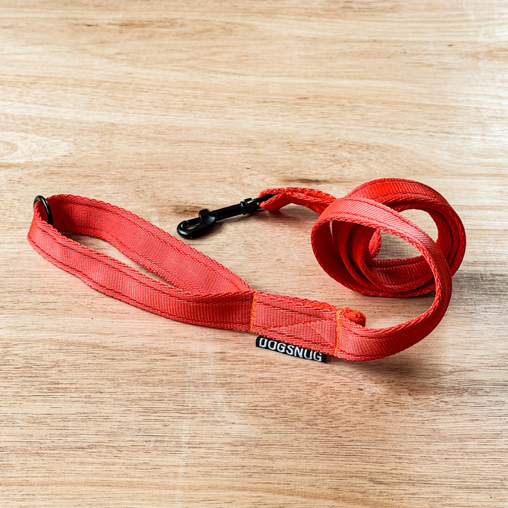Orange Classic Webbing Lead - Black Fittings | Dogsnug