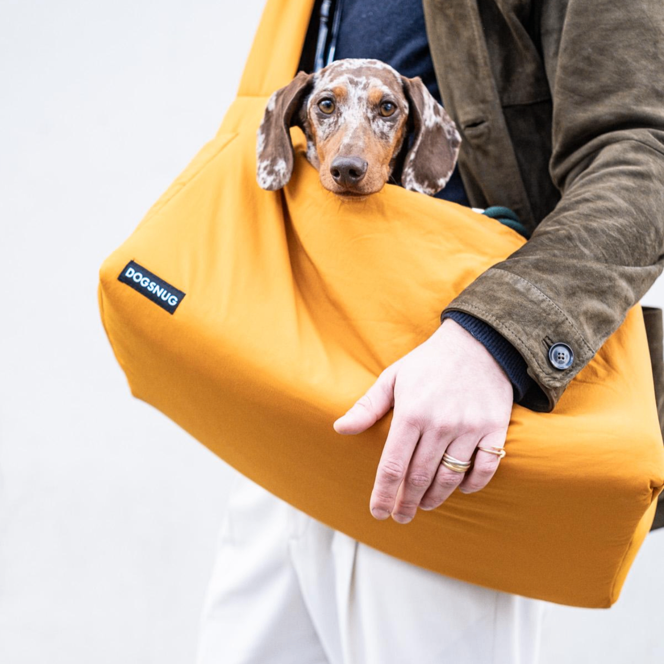 Air Puppy & Dachshund Dog Carrier