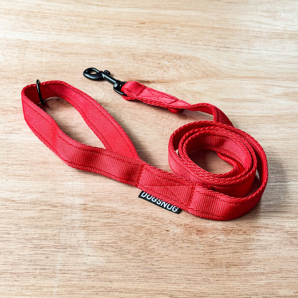 Red Classic Webbing Lead - Black Fittings | Dogsnug