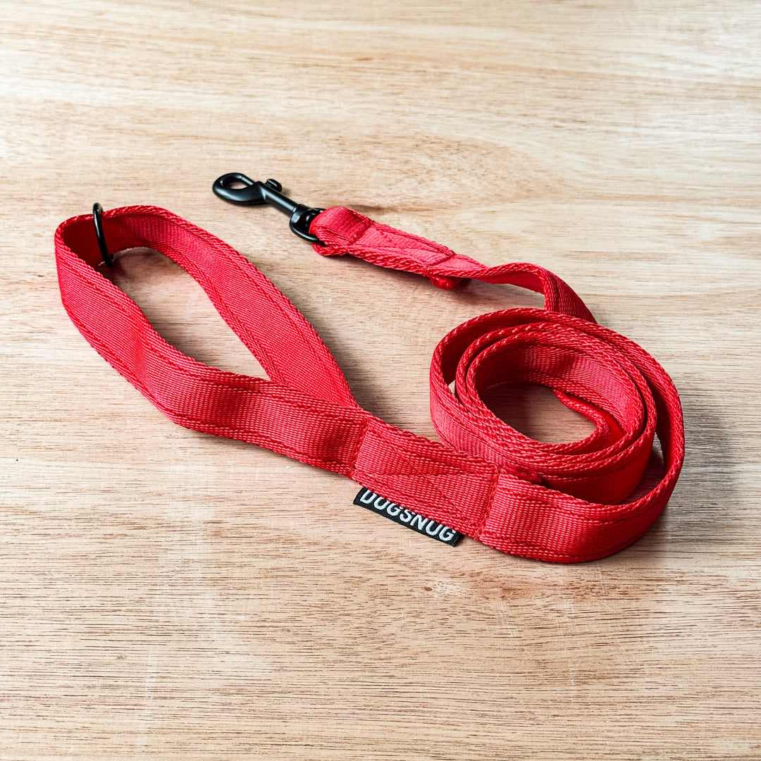 Red Classic Webbing Lead - Black Fittings | Dogsnug