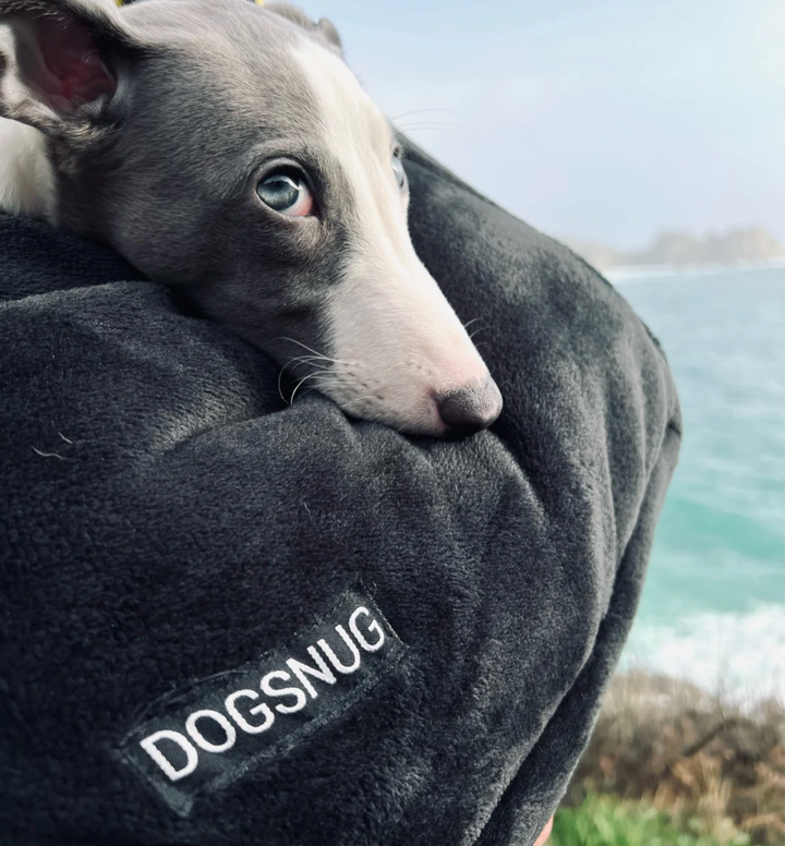 The So Fluffy Dog Carrier Set