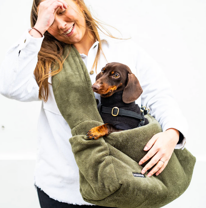 The So Fluffy Dog Carrier Set