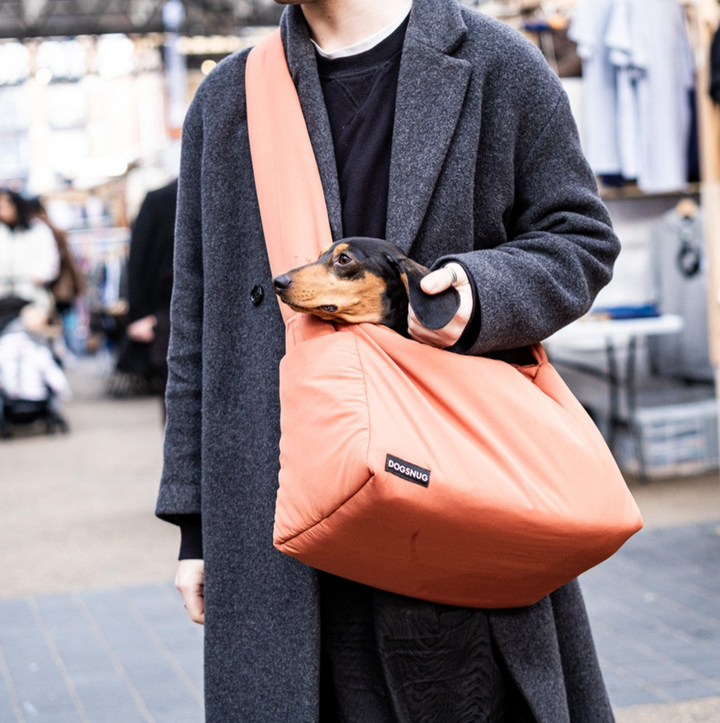 Air Puppy & Dachshund Dog Carrier
