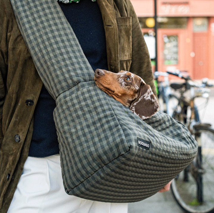 Air Puppy & Dachshund Dog Carrier