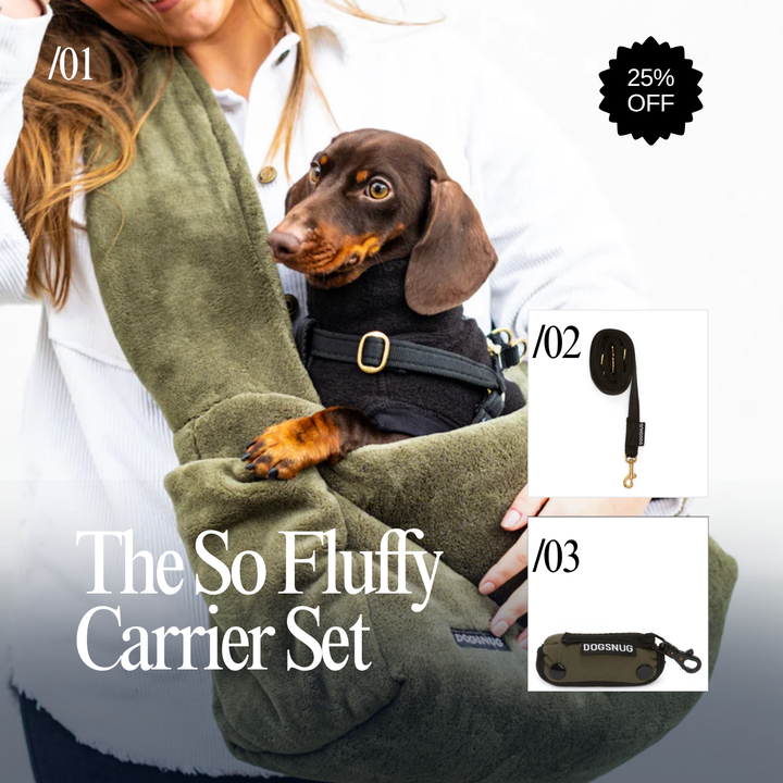 The So Fluffy Dog Carrier Set