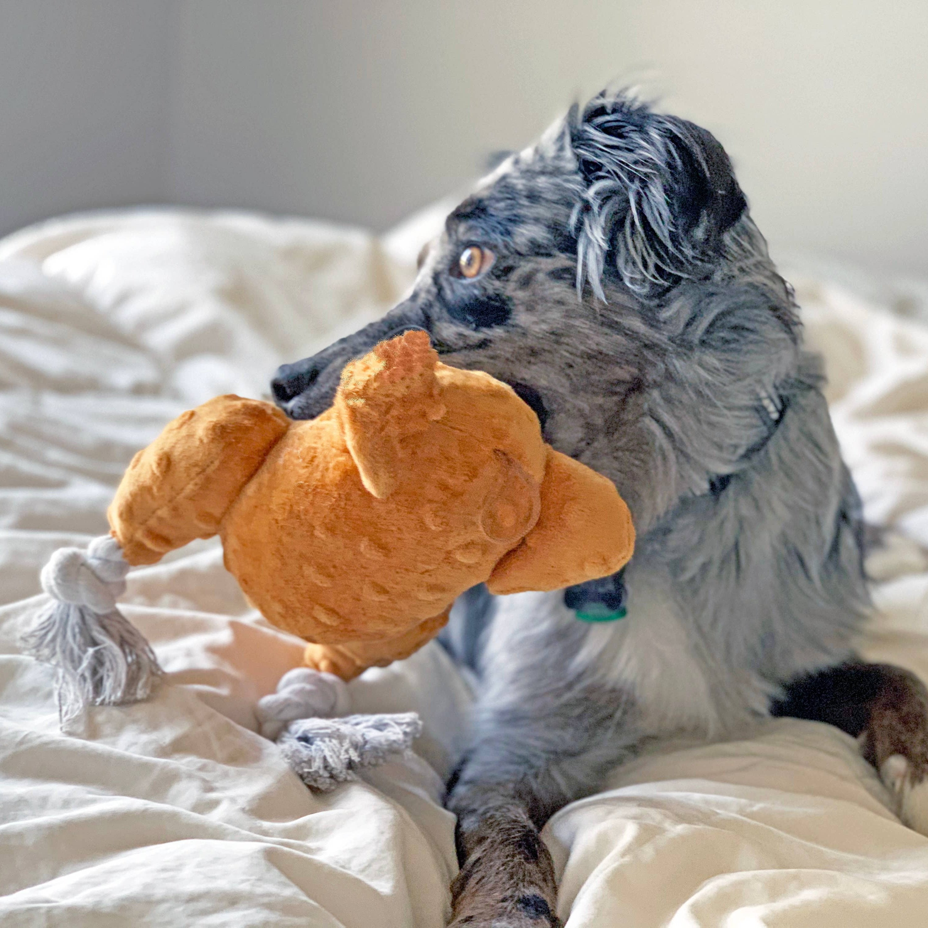 Plush dog toy with ball inside online