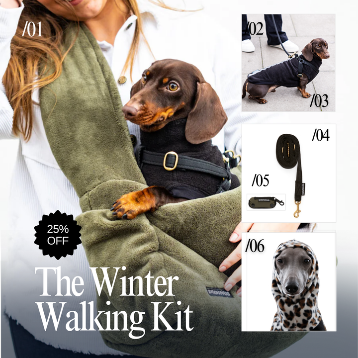 The Winter Walking Kit