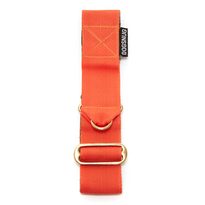 Wide martingale dog collar in orange