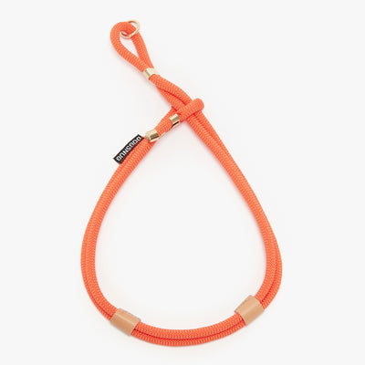 Dog rope harness in orange