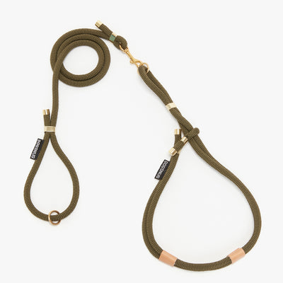 Dog rope harness in olive green with matching lead