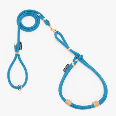Dog rope harness in blue with matching lead