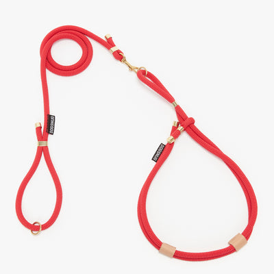 Dog rope harness in red with matching lead