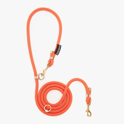 Hands Free Rope Lead in adjustable length orange rope