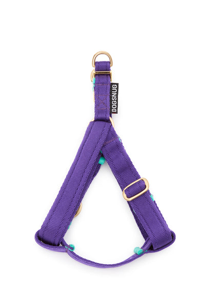 Step In Harness Webbing in Purple