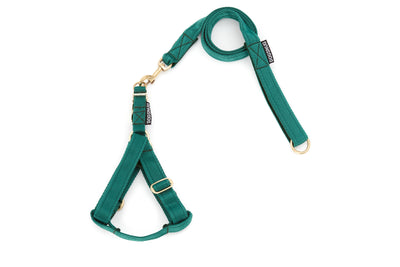 Adjustable Step In Harness Webbing in Forest Green with Lead Set