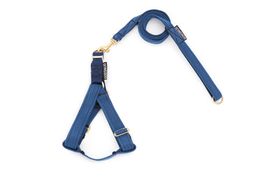 Adjustable Step In Harness Webbing in Navy Blue with Lead Set
