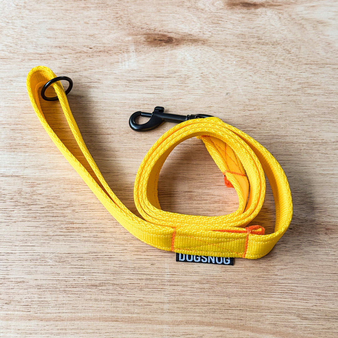 Yellow Classic Webbing Lead - Black Fittings | Dogsnug