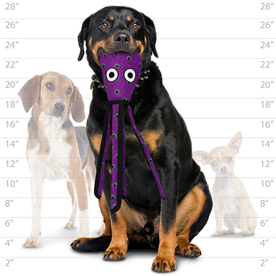 Tuffy Ocean Squid - Purple, Durable, Tough, Squeaky Dog Toy
