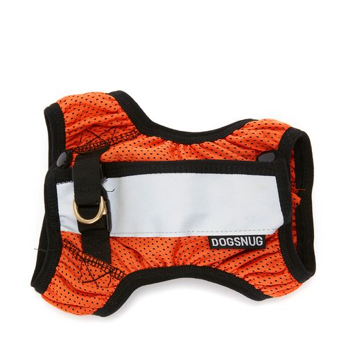 Running harness for dachshunds in orange with silver reflective stripe