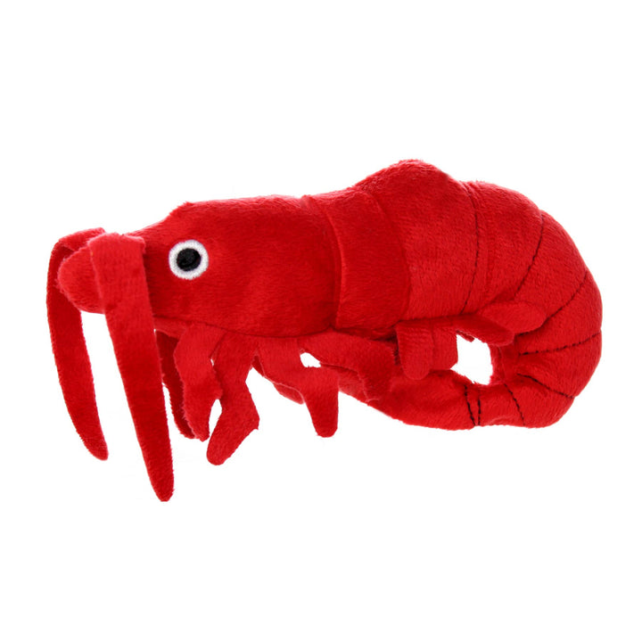 Mighty Ocean Prawn, Plush, Squeaky Dog Toy