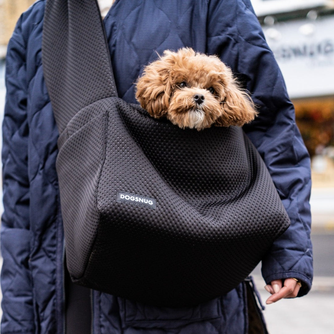 Black Neoprene Air Puppy Carrier