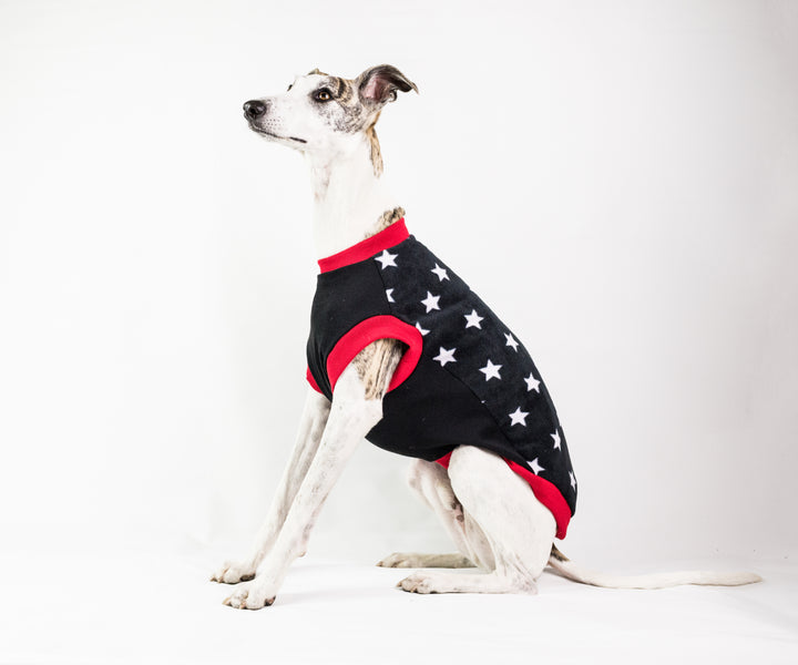 Fleece Dog Jumper Special Edition