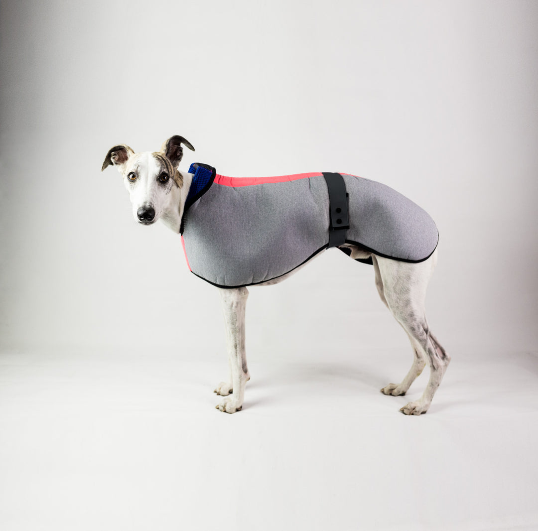 Waterproof Dog Coat Plain
