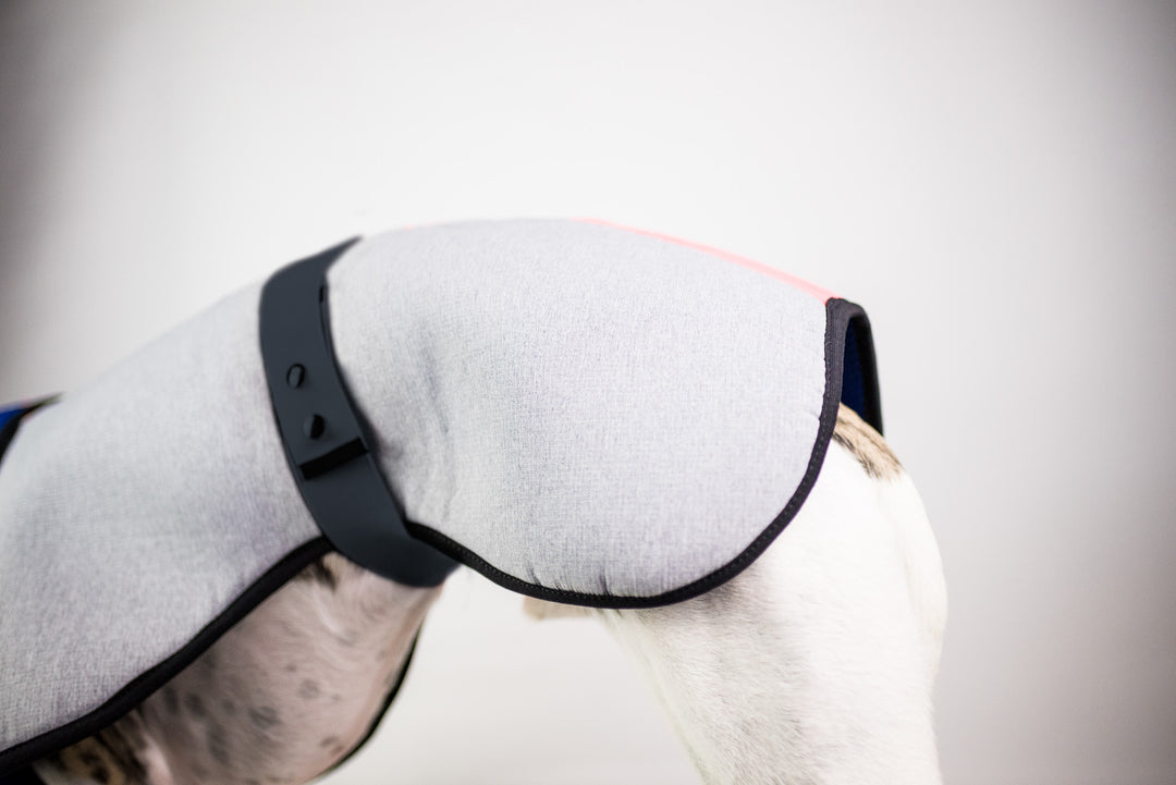 Waterproof Dog Coat Plain