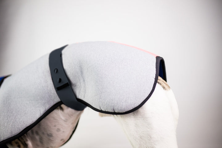 Waterproof Dog Coat Plain